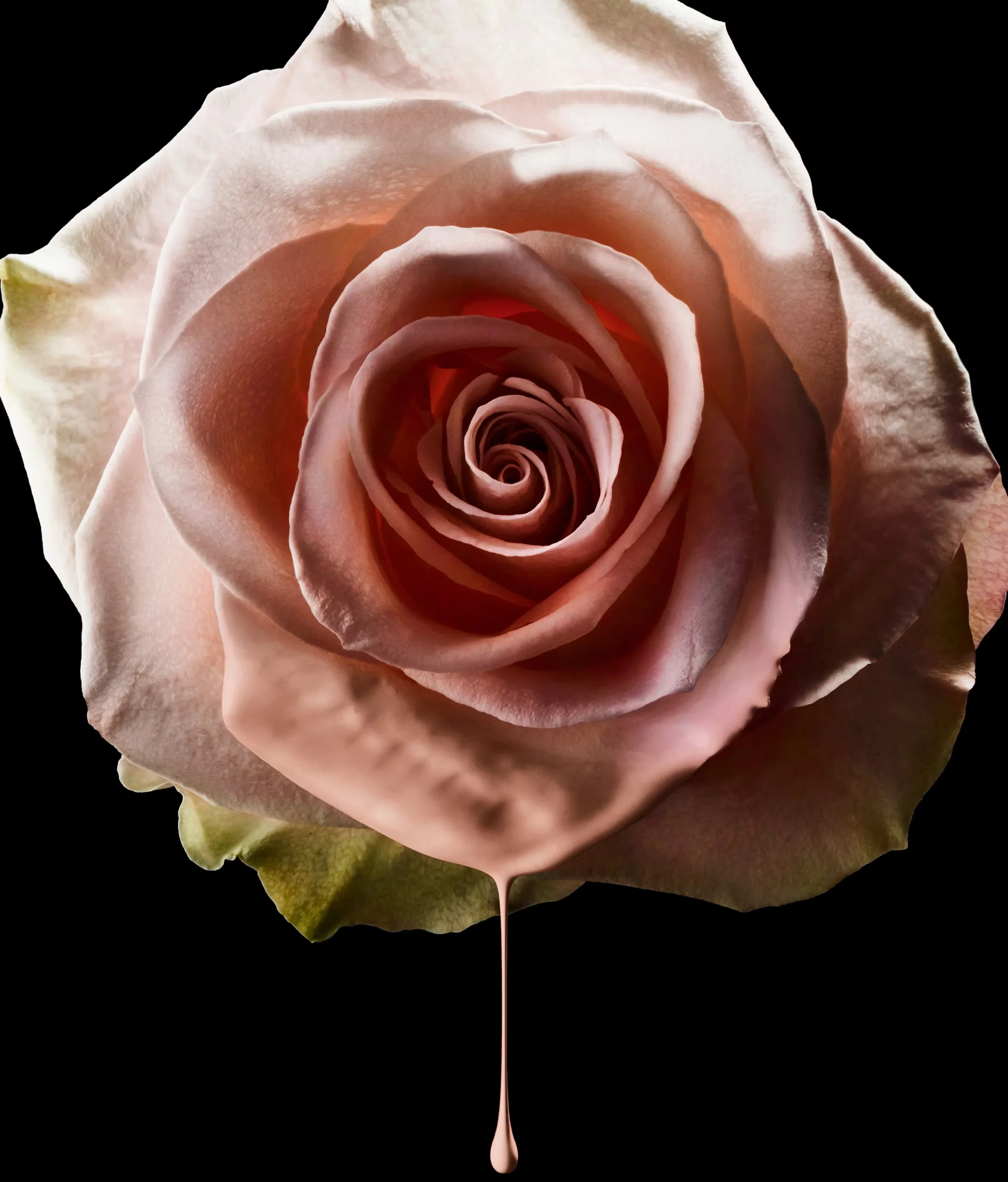 Imagery-Art-Drop-Flower-1